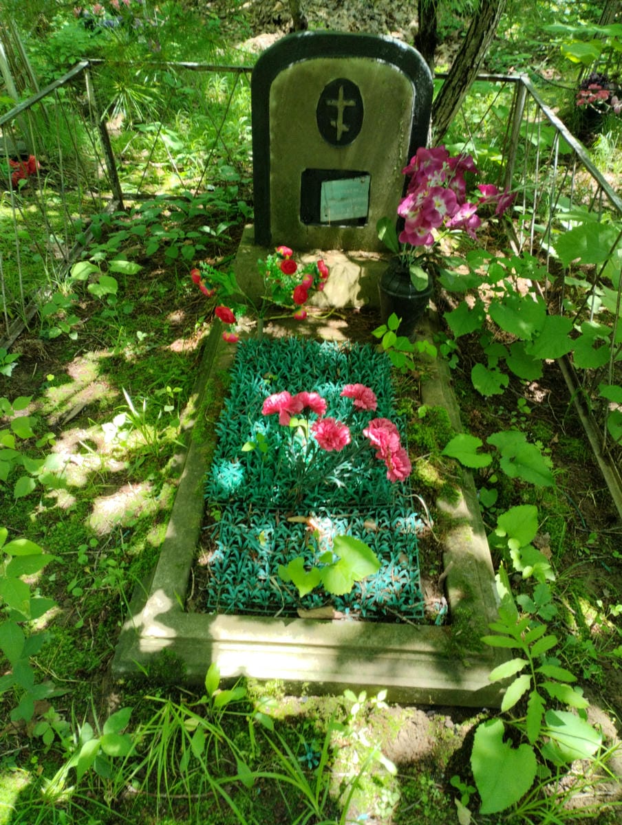 Дмитриенко Ульяна Семеновна
