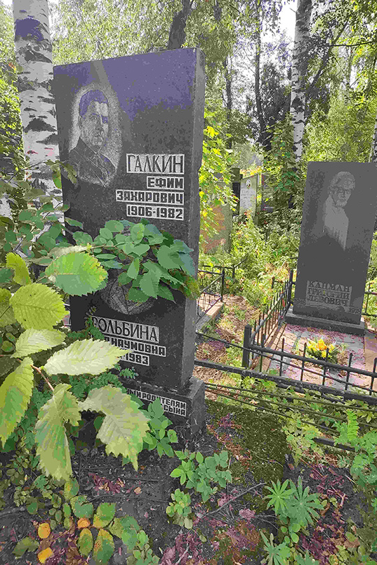 Галкин Ефим Захарович