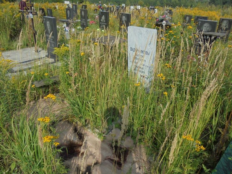 Ведерников Григорий Михайлович