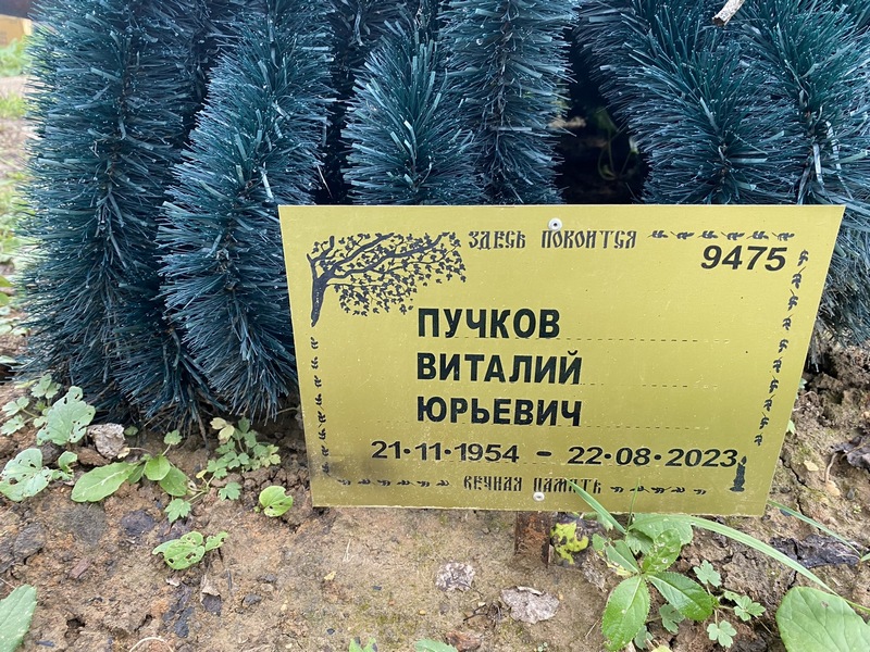 Пучков