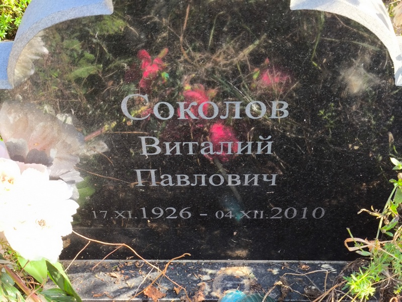Соколов