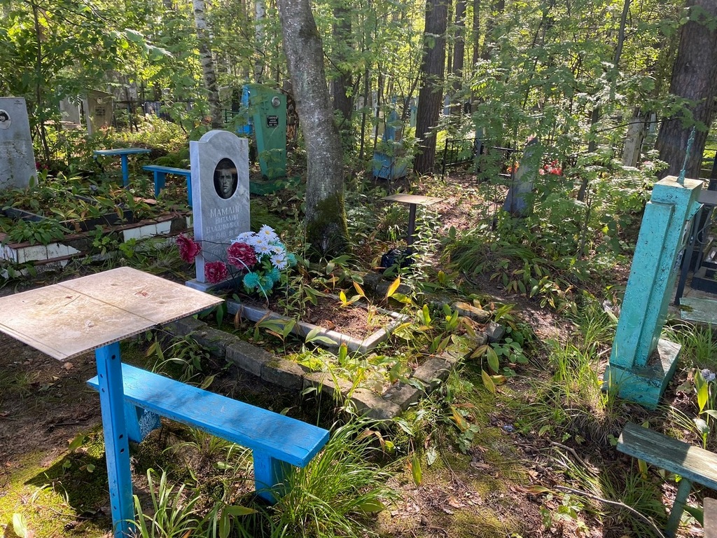 Мамлин Виталий Владимирович