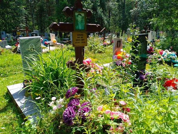 Булычев Михаил Николаевич