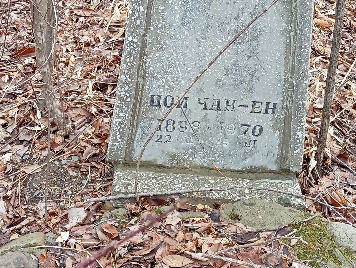 Цой Чан Ен