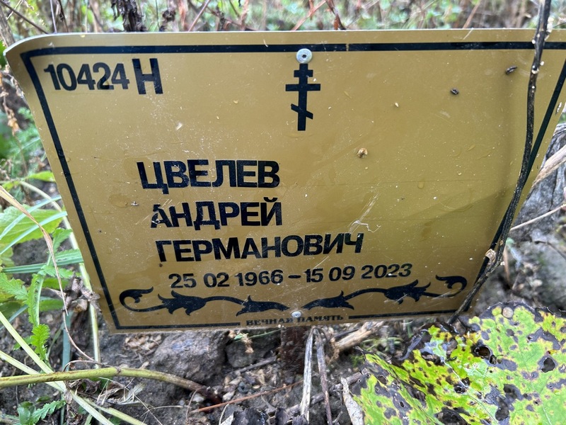 Цвелев