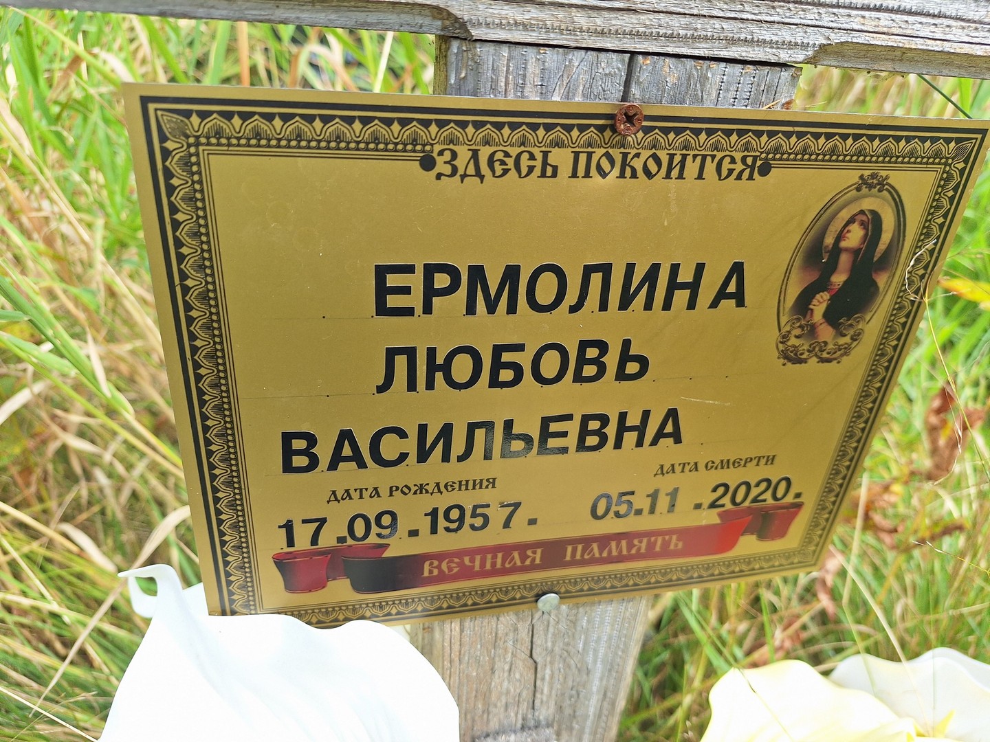 Ермолина