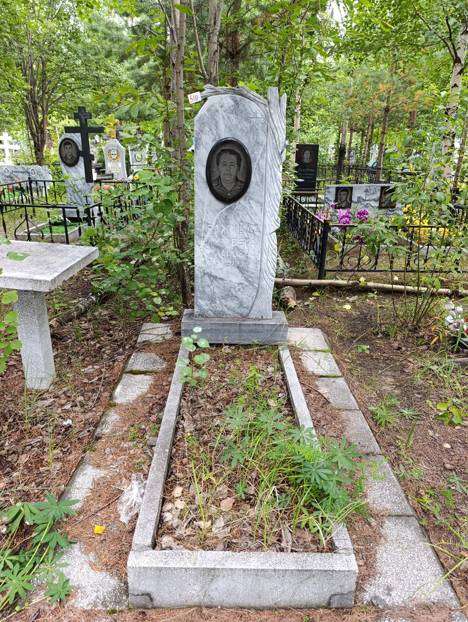 Бажина Елизавета Романовна