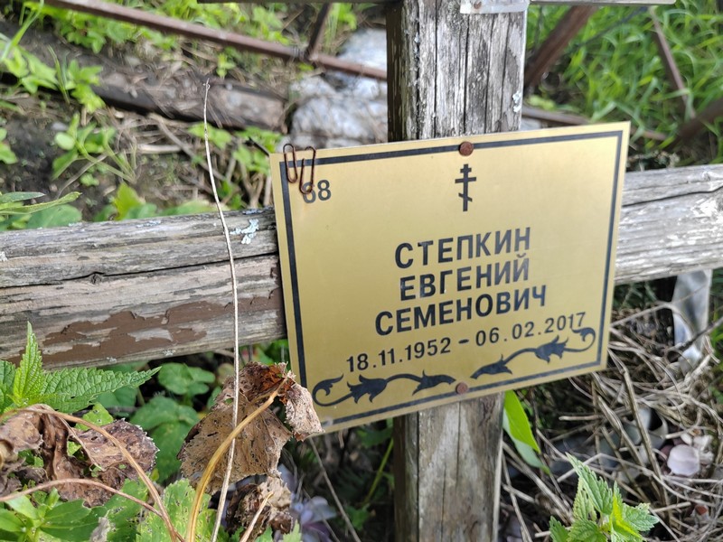 Степкин