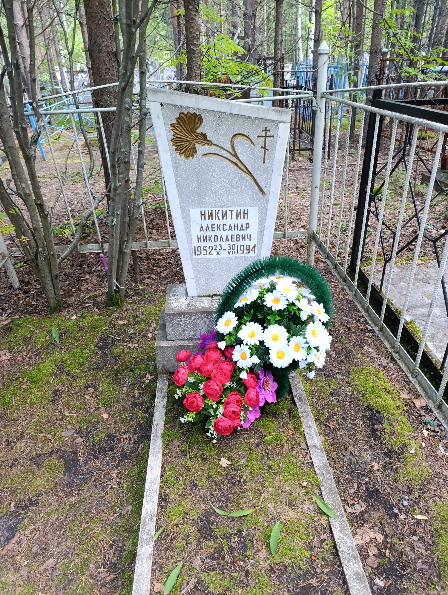 Никитин Александр Николаевич