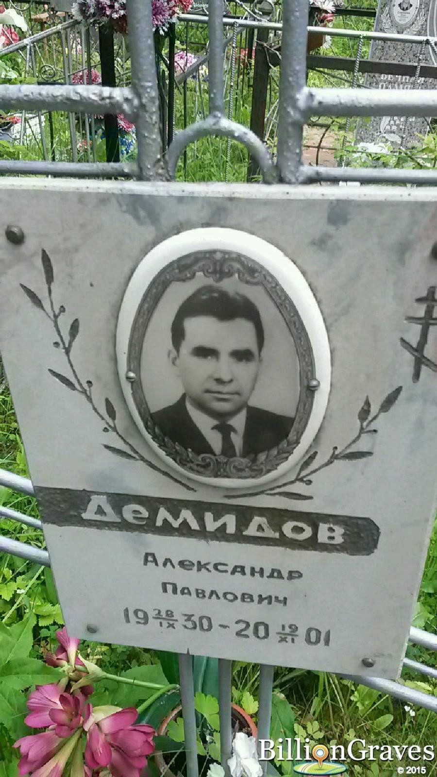 базлова ольга романовна