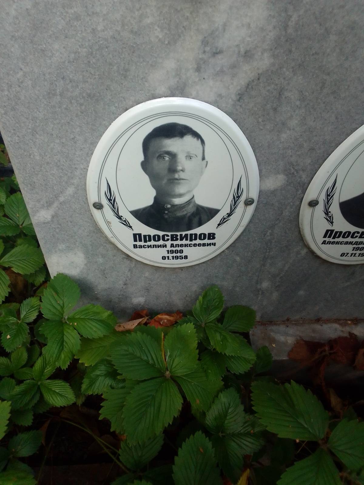 Просвирова Александра Петровна