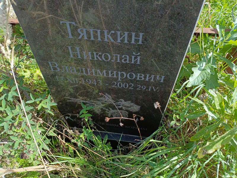 Тяпкин