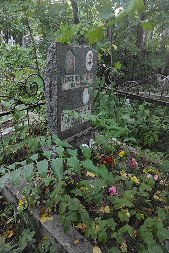 Романова (Жогленко) А. А.