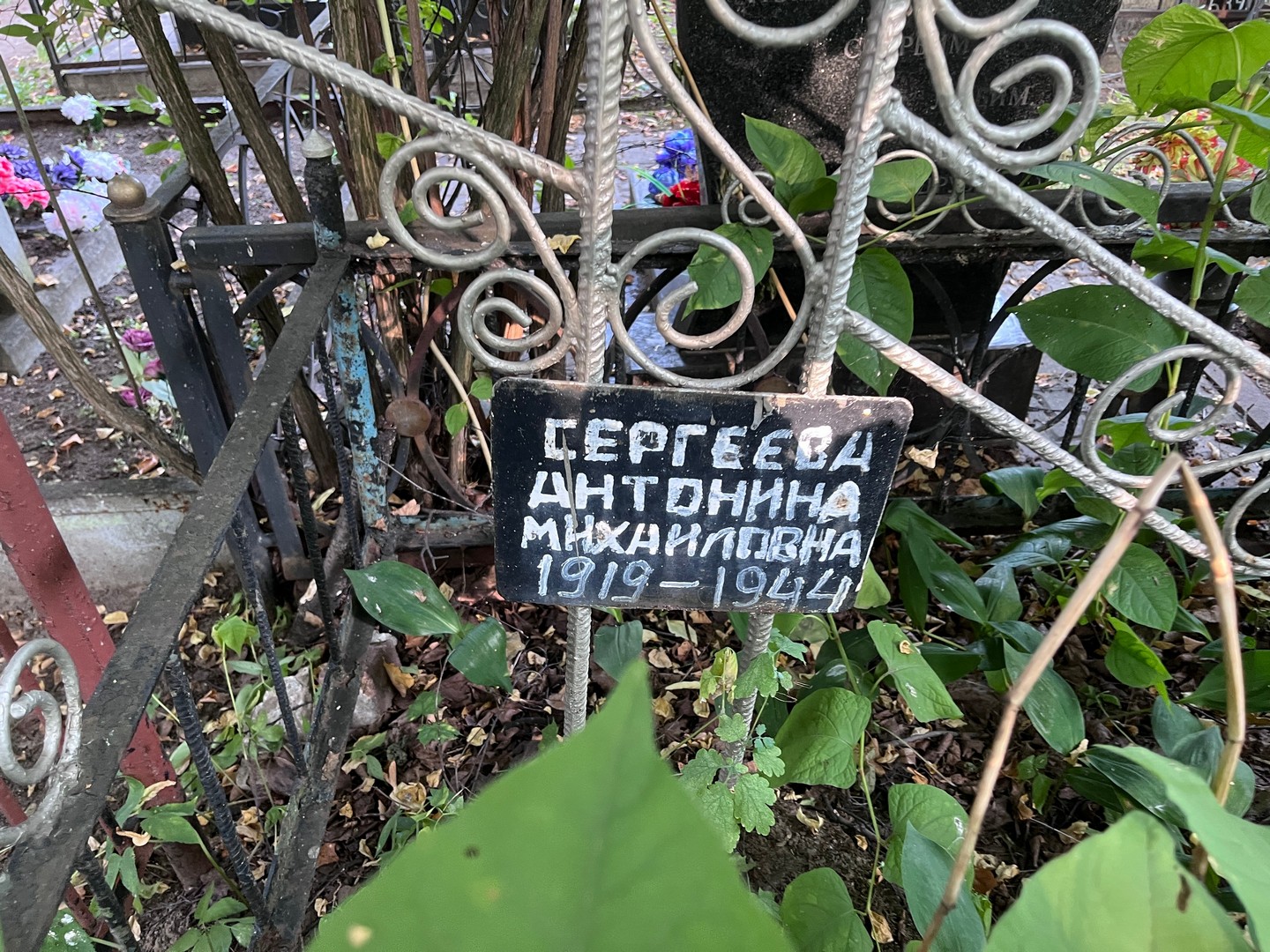 Сергеева Антонина Михайловна