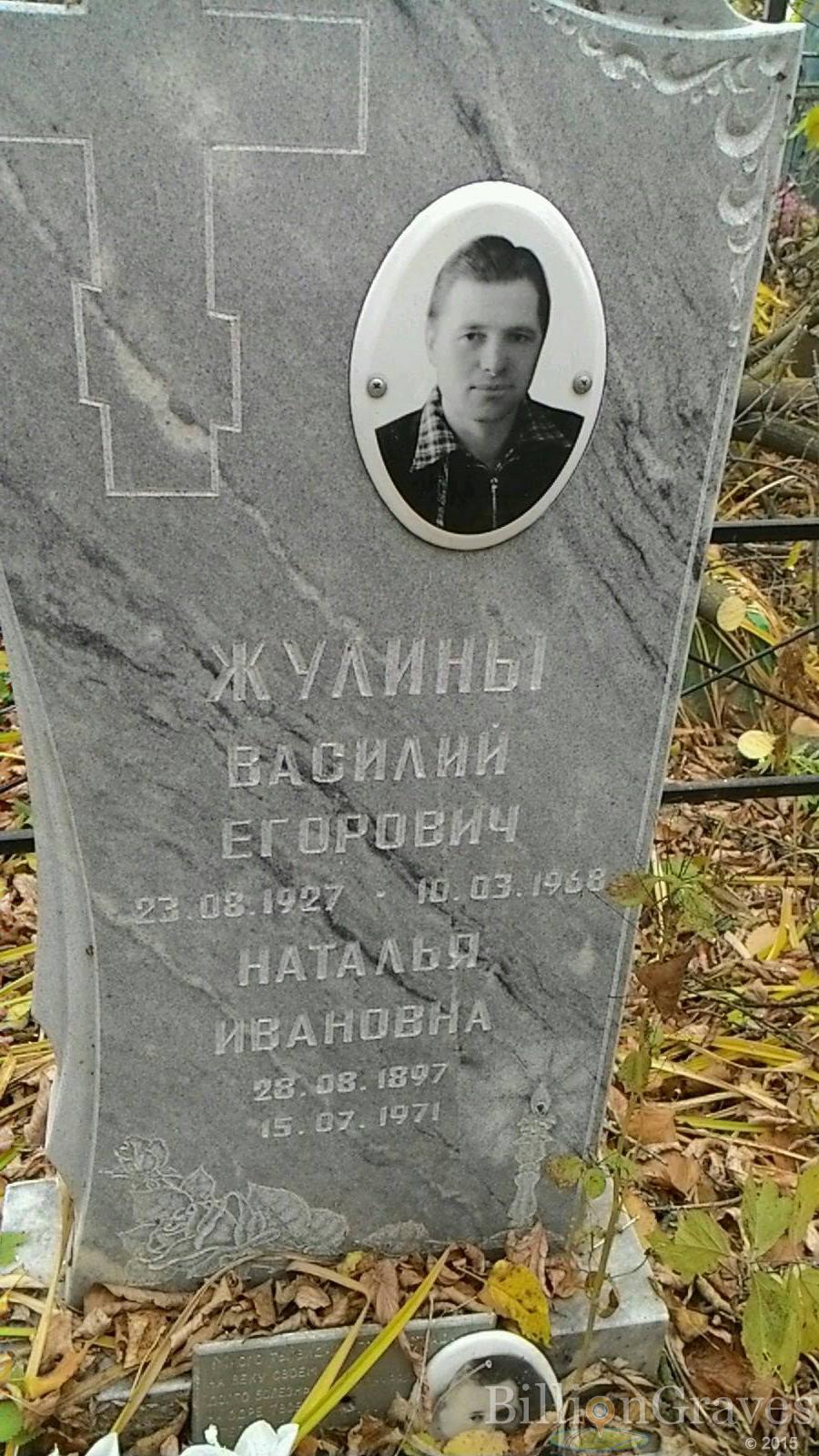 Жулин Василий Егорович