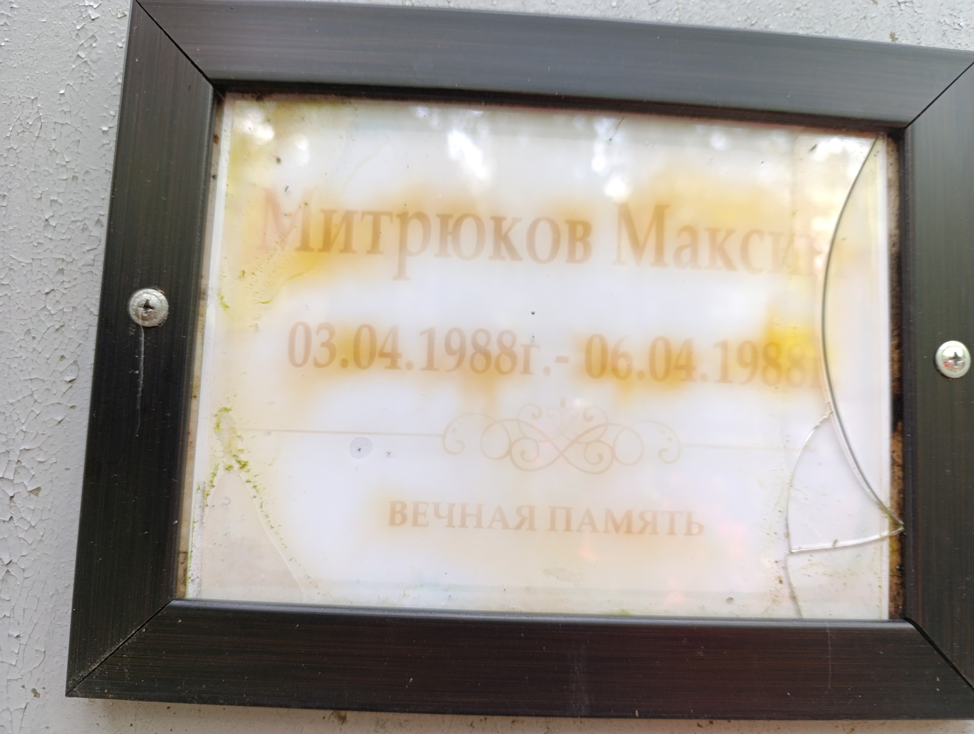 Митрюков Максим