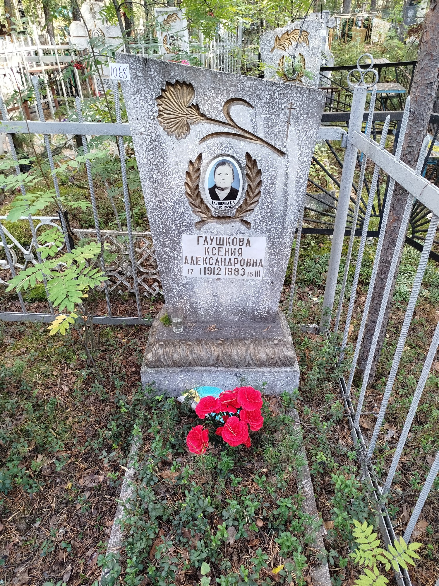 Глушкова Ксения Александровна