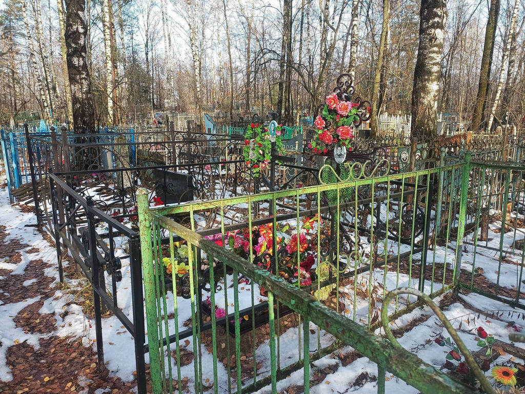Медведева Фаина Леонидовна