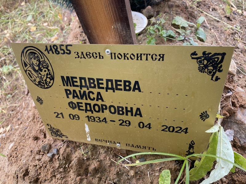 Медведева
