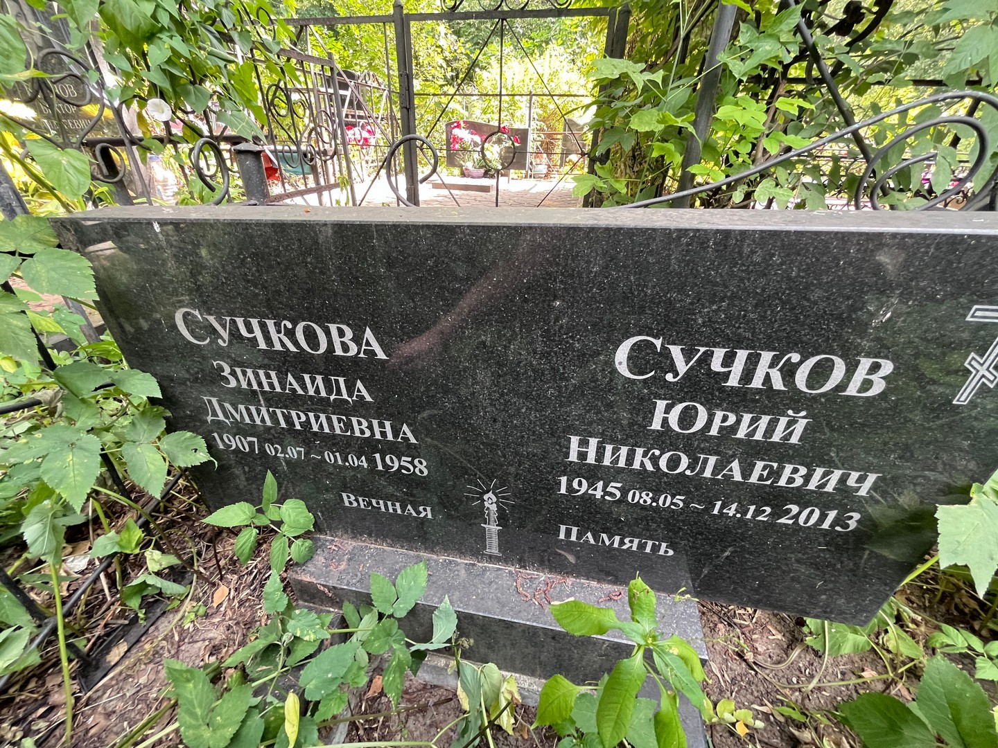 Сучков