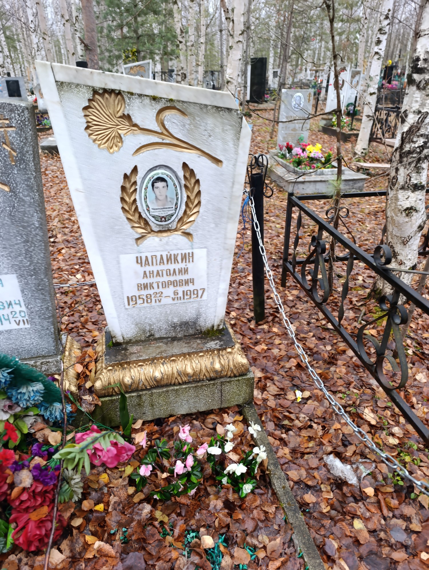 Чапайкин Анатолий Викторович