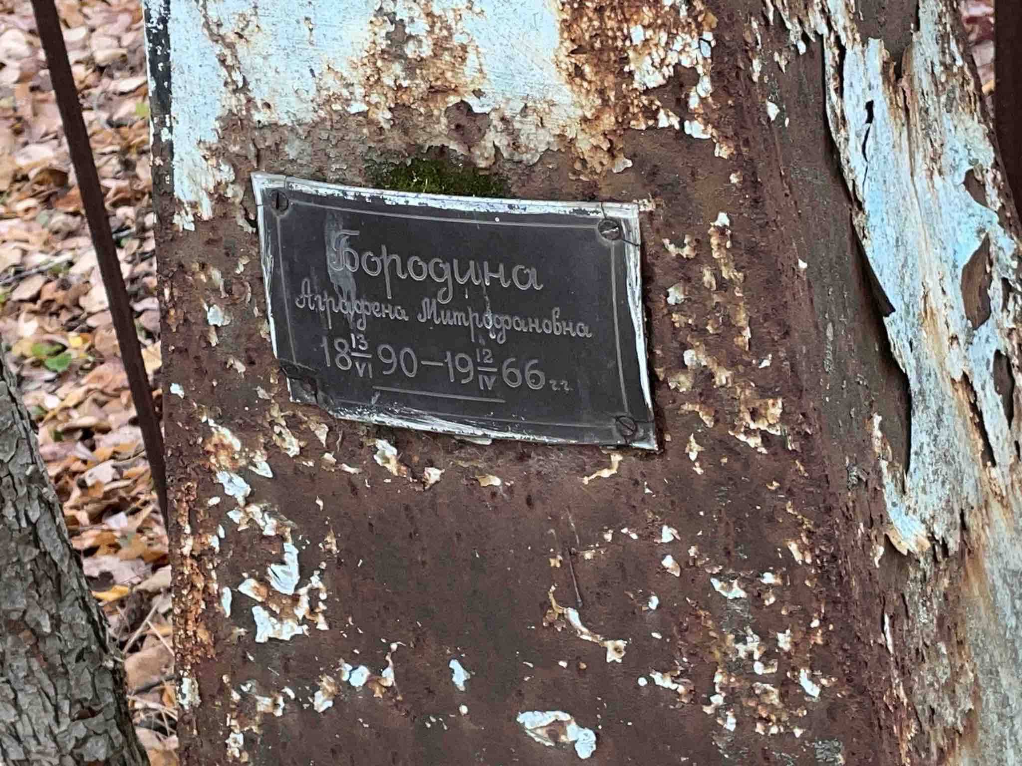 Бородина Аграфена Митрофановна