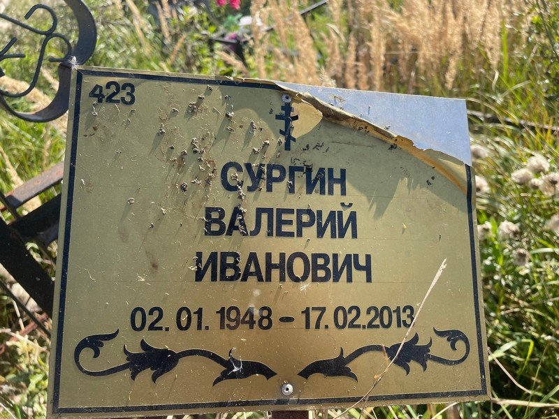 Сургин
