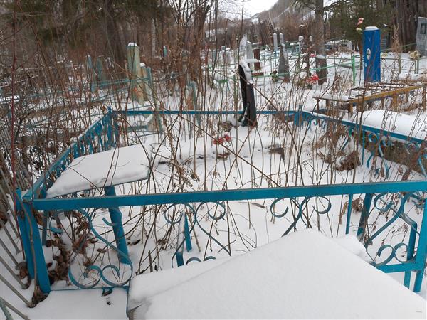 Королев Леонид Яковлевич