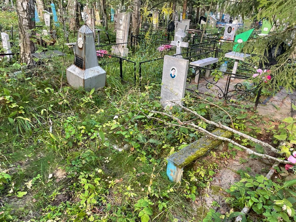 Лежнева Анастасия Семеновна
