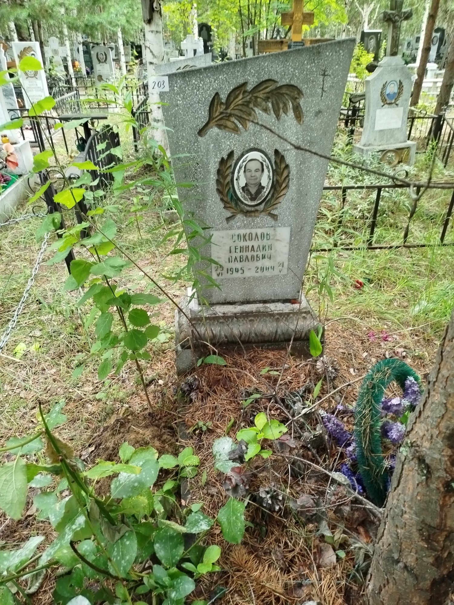 Соколов Геннадий Павлович