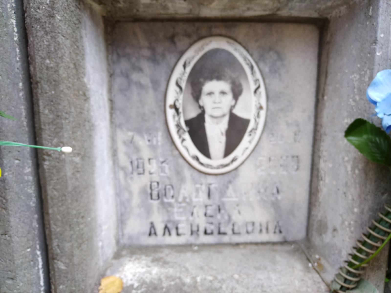 Вологдина Елена Алексеевна
