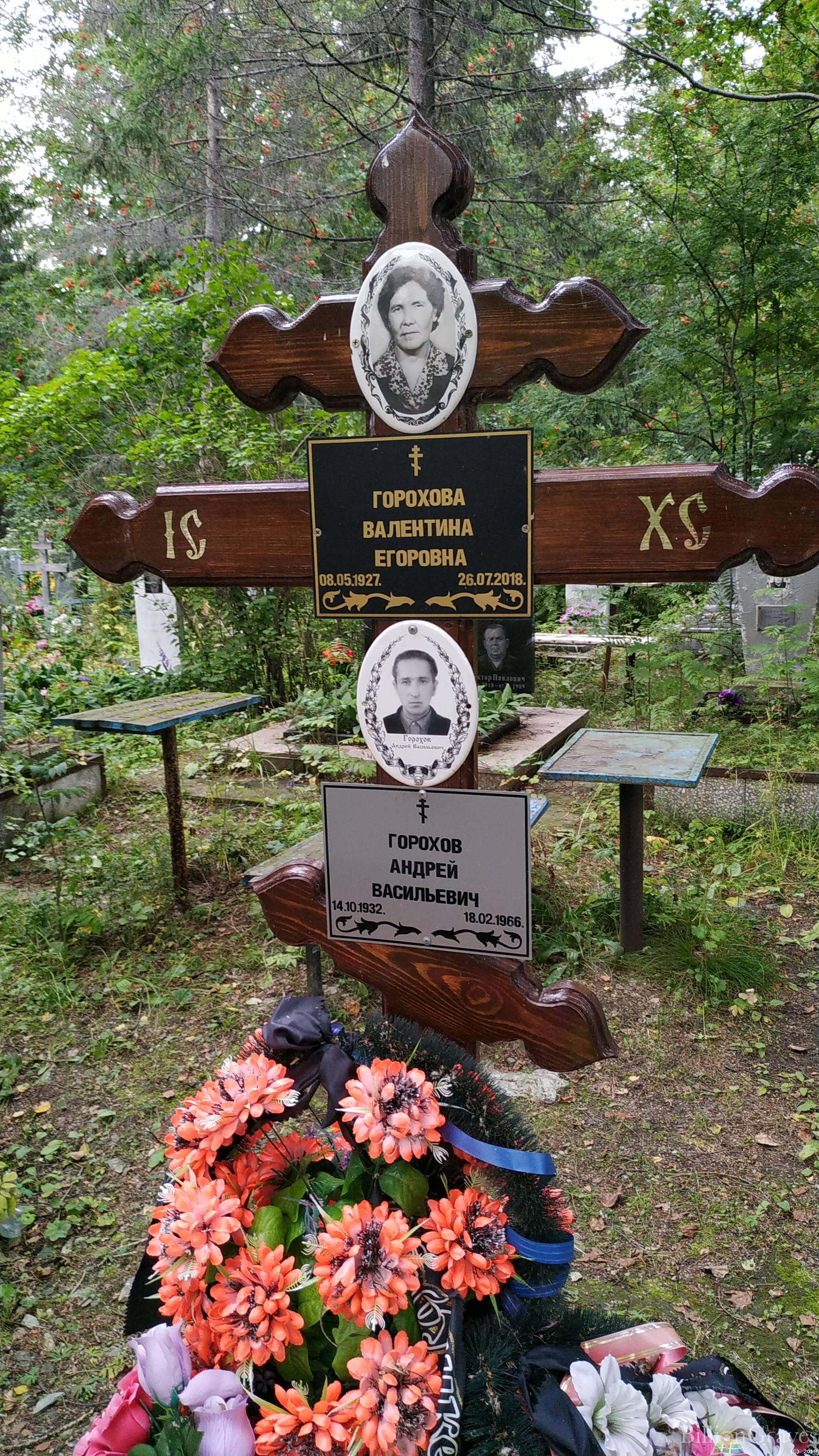 Горохов Андрей Васильевич