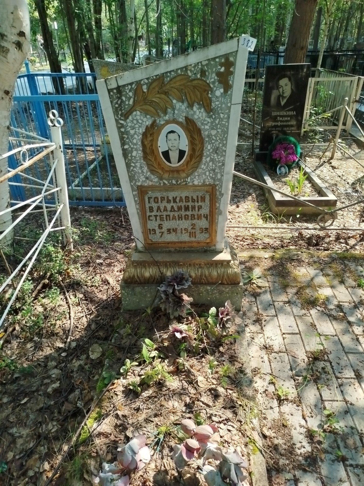 Горькавый Владимир Степанович