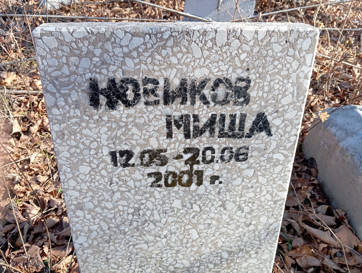 Новиков Миша