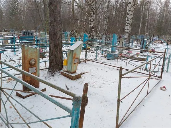 Батракова Александра