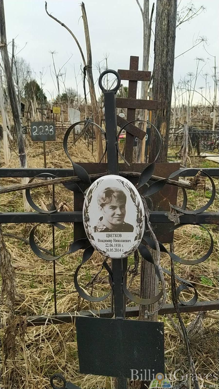 Цветков Владимир Николаевич