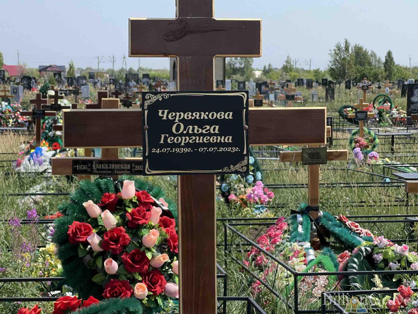Червякова Ольга Георгиевна
