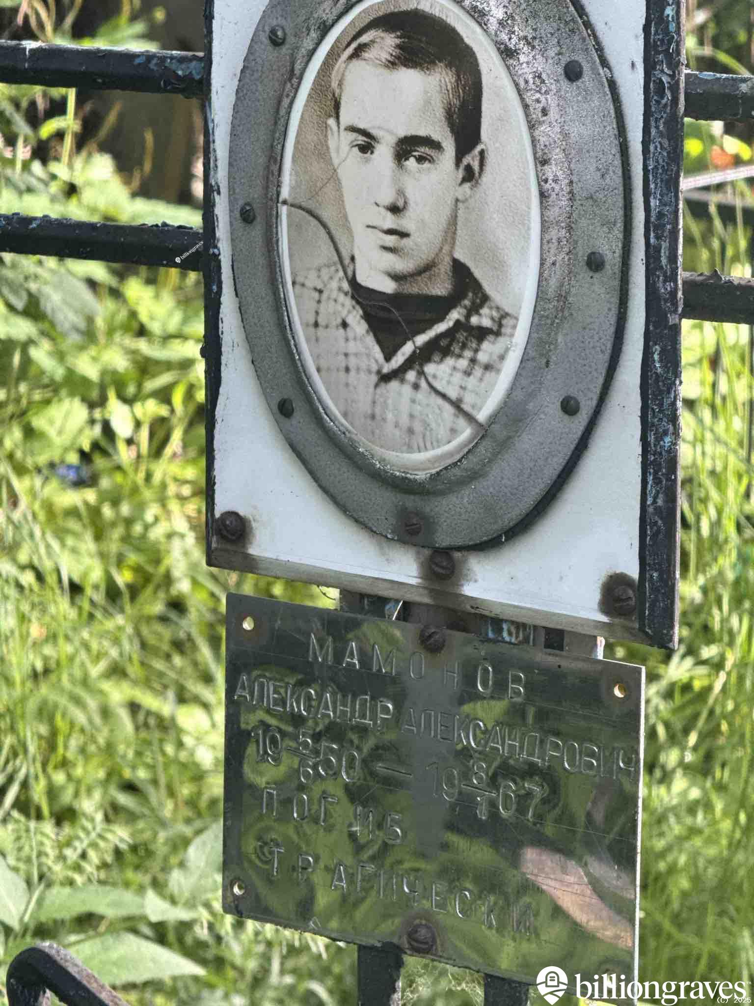 Мамонов Александр Александрович