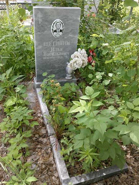 Щетинин Илья Васильевич