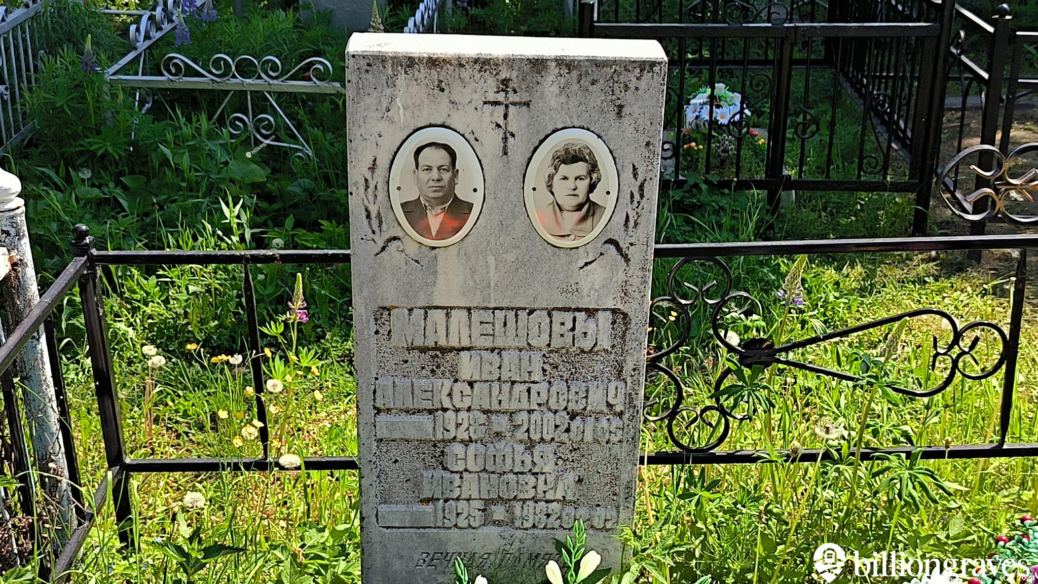 Малешов Александр Иванович