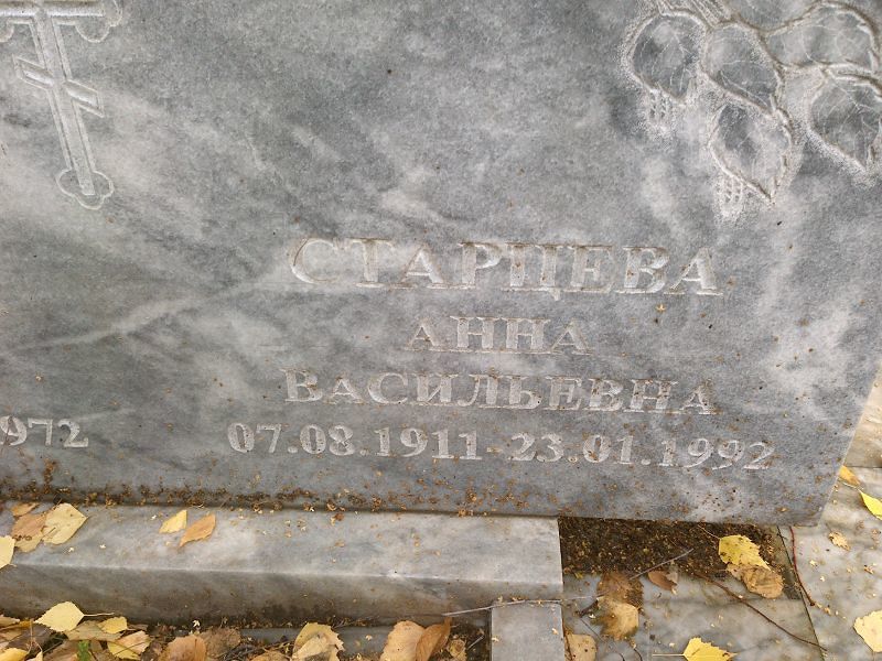 Старцева