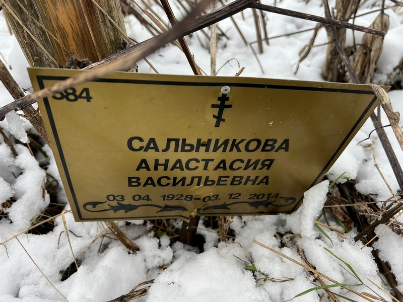 Сальникова Анастасия Васильевна