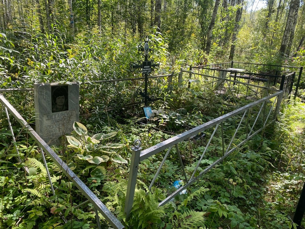 Вихарева Эмилия Михайловна