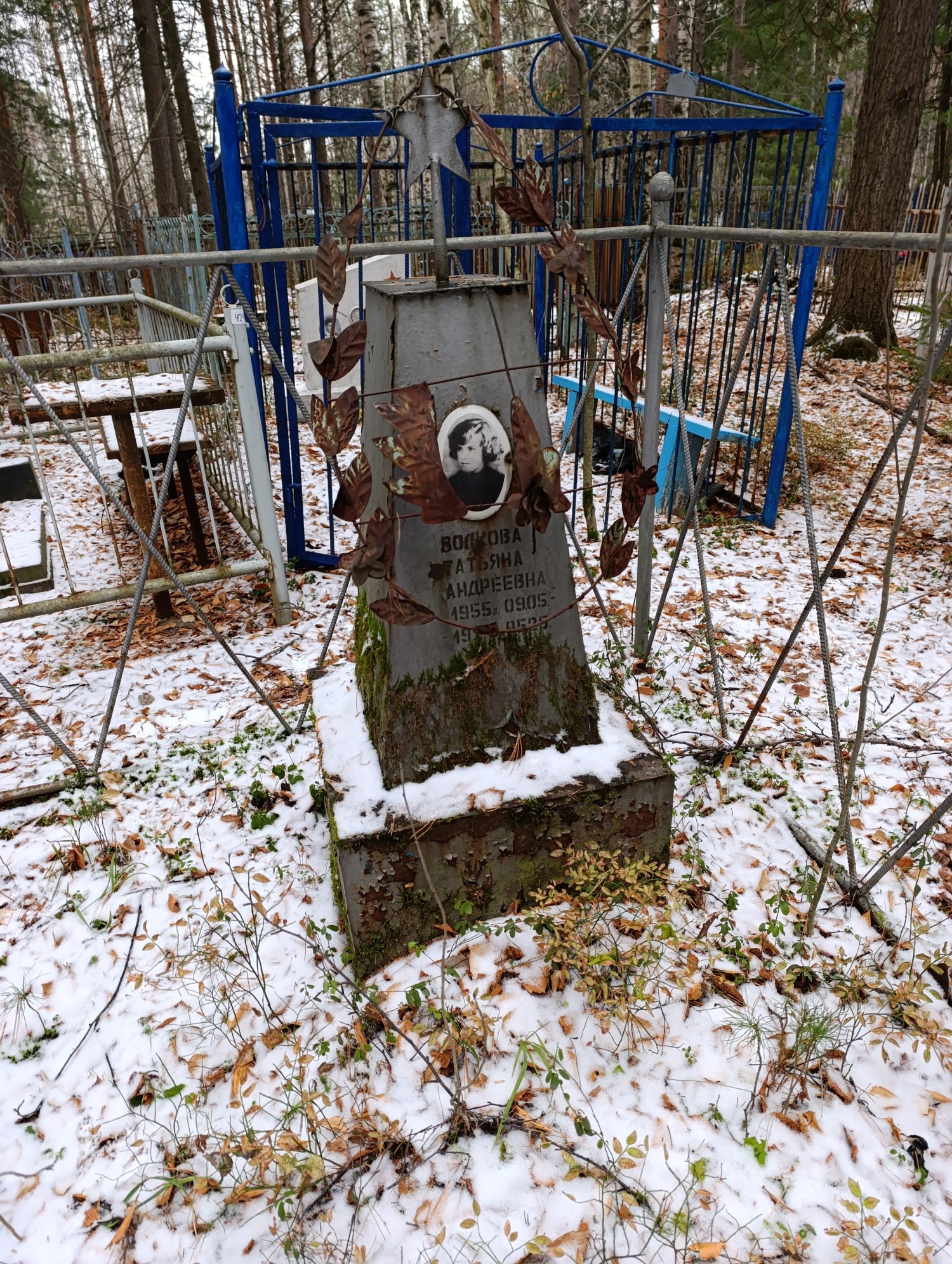 Волкова Татьяна Андреевна