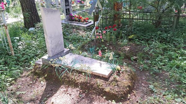 Волков Семён Егорович