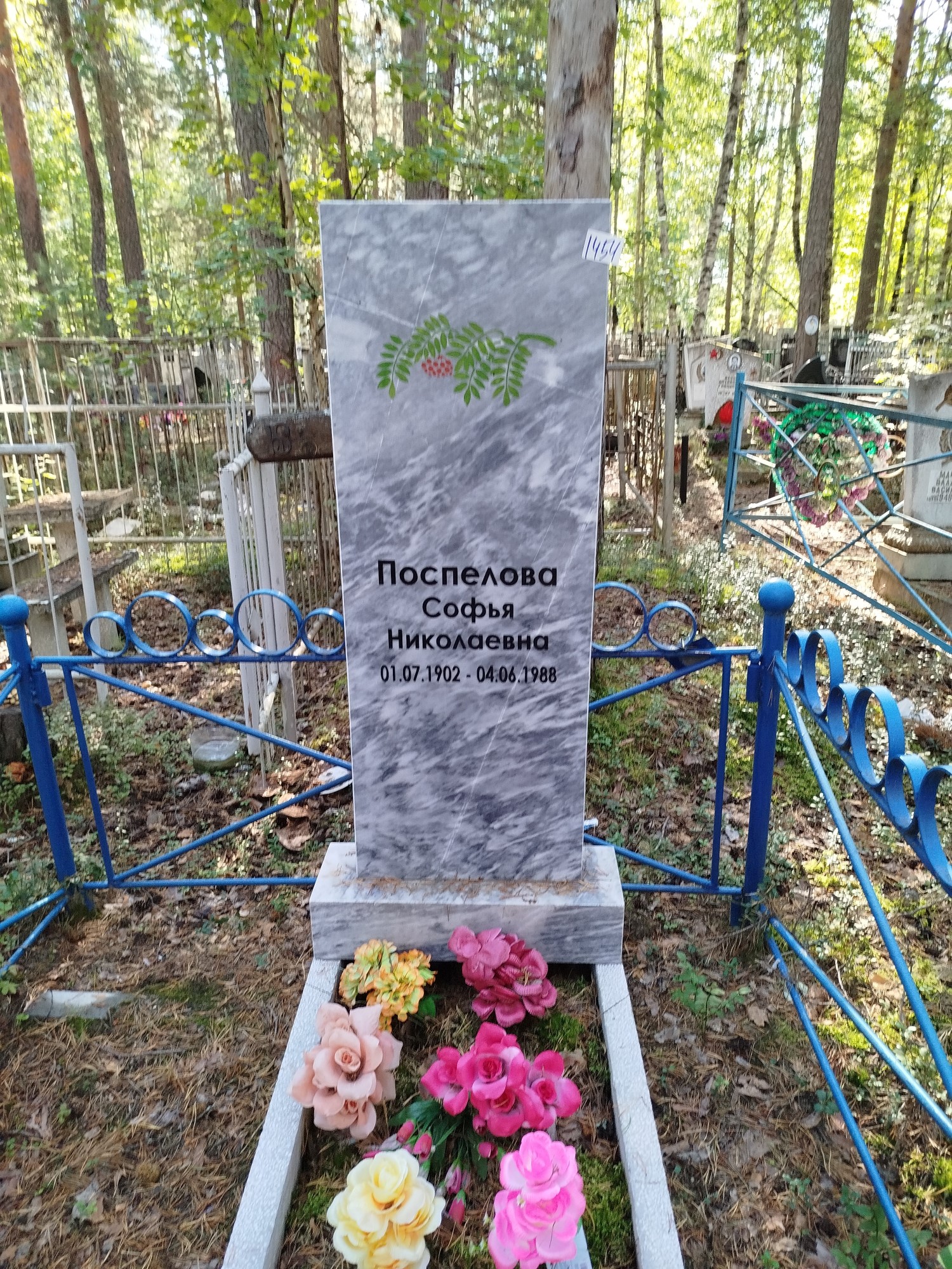 Поспелова Софья Николаевна