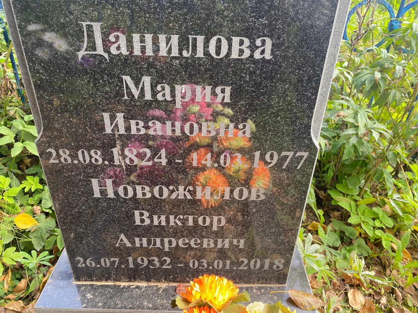 Данилова