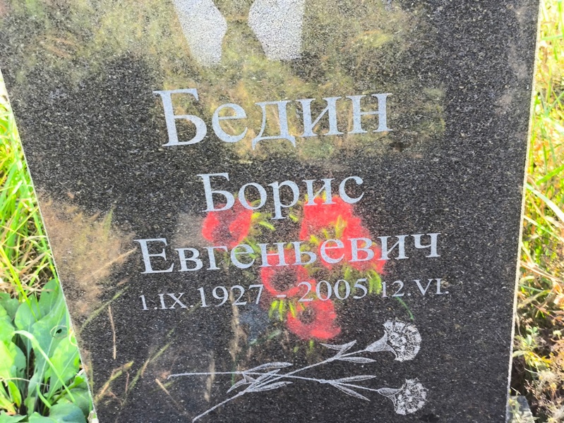 Бедин