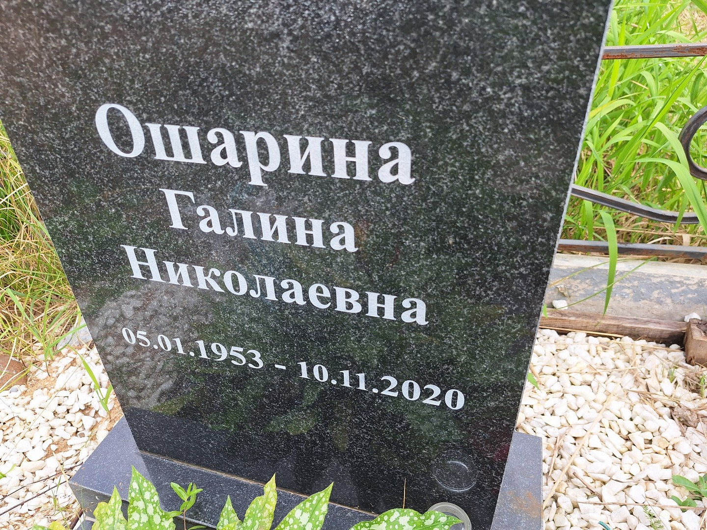 Ошарина
