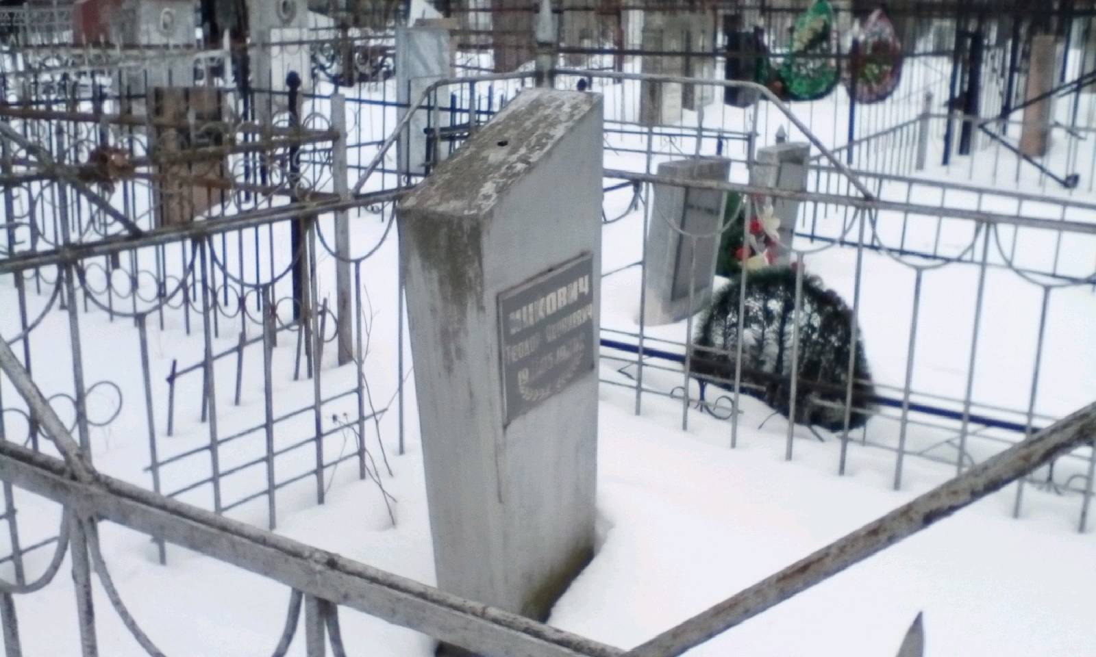 Ицкович Теодор Яковлевич